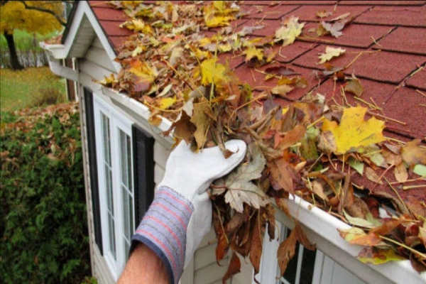 A person engaged in gutter cleaning.